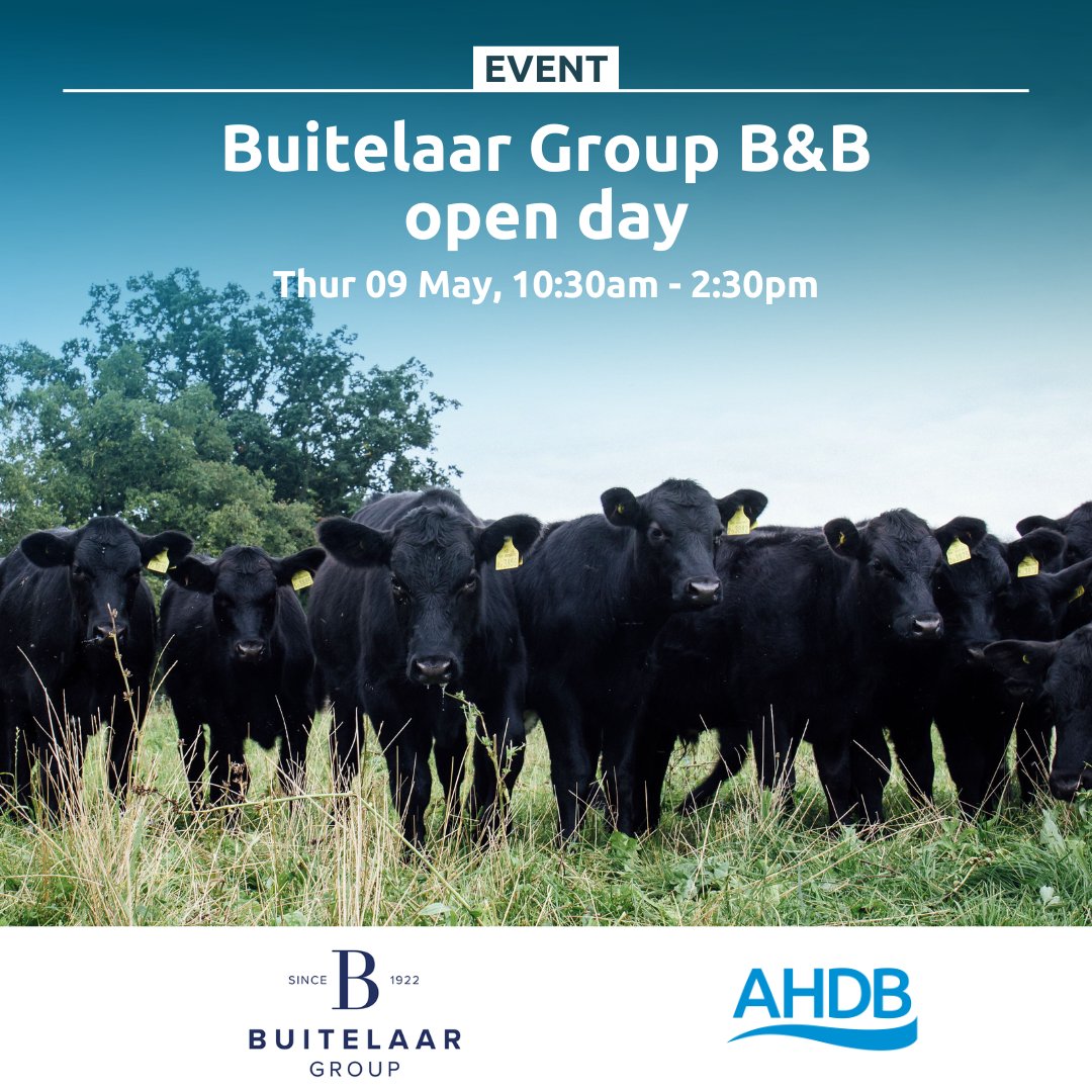 One that's relevant to you all! @AHDB_BeefLamb @AHDB_Dairy @AHDB_Cereals Shropshire Buitelaar event @MJonesTrefnant @HefinR @EdJohnRiley @PhilatRedRock Regen grazing ✅ Herbal Leys ✅ Livestock in Arable ✅ Additional income streams ✅ Info & book ahdb.org.uk/events/buitela…