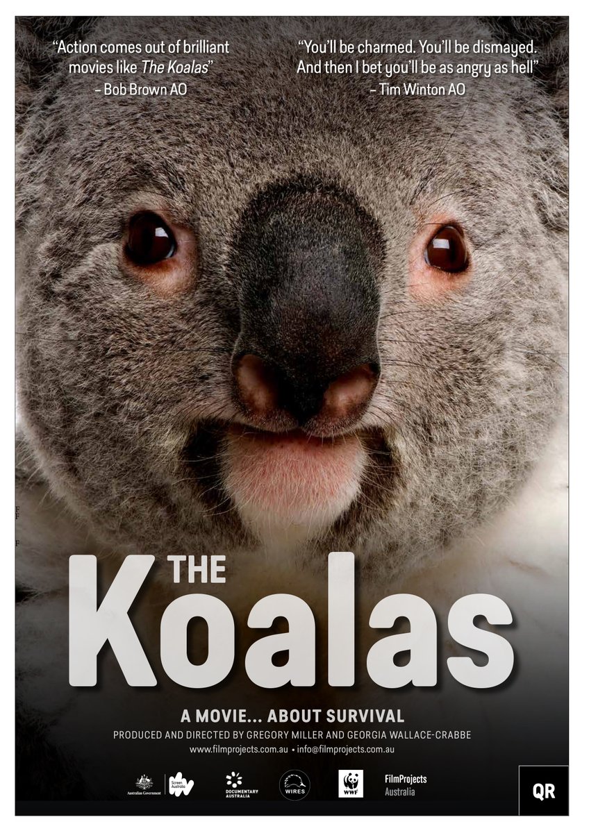I just submitted 'The Koalas' to @hiff via FilmFreeway.com! -