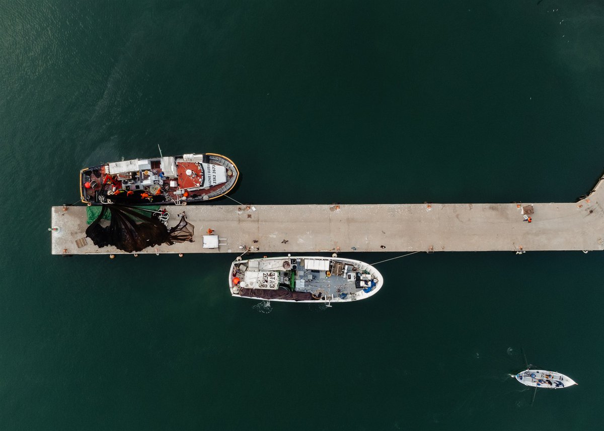 OPP Peix Blau Tarragona (@peixblautgn) on Twitter photo La perspectiva ens dona diferents punts de vista sobre la realitat, veure les barques de pesca a vista d’ocell ens fa veure la magnitud i importància del nostre sector, que treballa incansablement per oferir, cada dia, la millor qualitat de peix blau al mercat.
#opp #peixblau La perspectiva ens dona diferents punts de vista sobre la realitat, veure les barques de pesca a vista d’ocell ens fa veure la magnitud i importància del nostre sector, que treballa incansablement per oferir, cada dia, la millor qualitat de peix blau al mercat.
#opp #peixblau