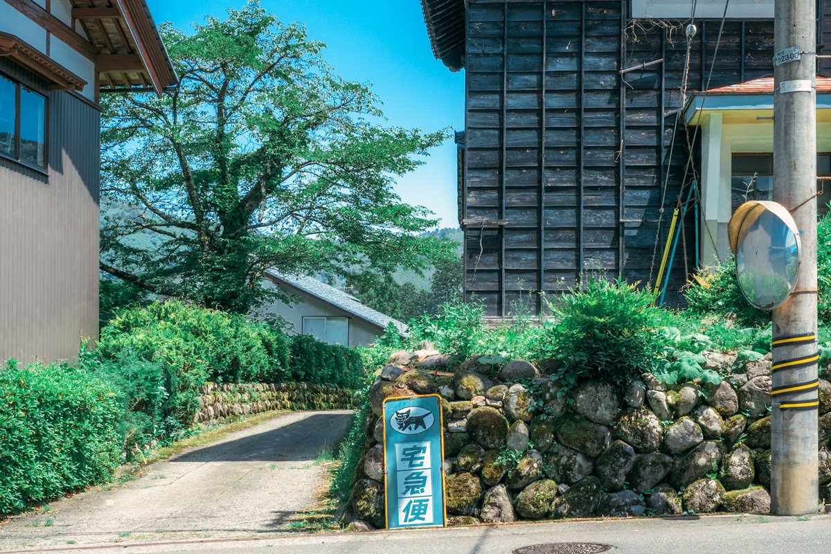 田舎で過ごす夏休み