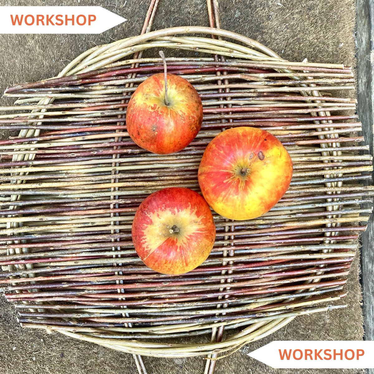 Join us for a Willow Platter Workshop with Sharon Potter!

Wednesday 15th May, 10.30am - 1pm. £35 per person.

Click link for further details - nucleusarts.com/jumpstart-book…