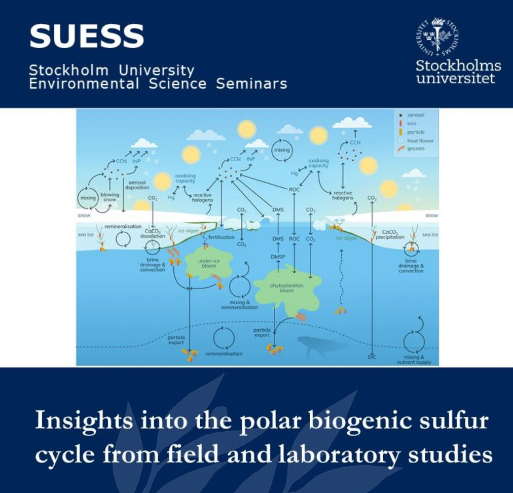 Discover the role the sulfur cycle play in the interaction between the ocean, #ice and air in #polar regions. Join us TODAY at 14.00 CET! 🗣️ Megan Willis @ColoradoStateU 📌Högbomsalen @Stockholm_Uni & on Zoom: ID66206406448