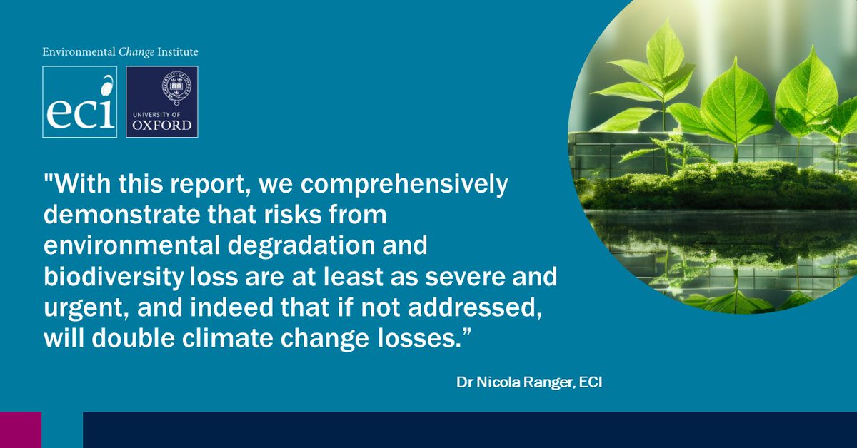 New analysis researchers at the ECI have contributed to shows that nature loss could lead to an estimated 12% loss of GDP in the coming years - a larger impact than the global financial crisis or #COVID19. @NicolaRanger greenfinanceinstitute.com/news-and-insig…