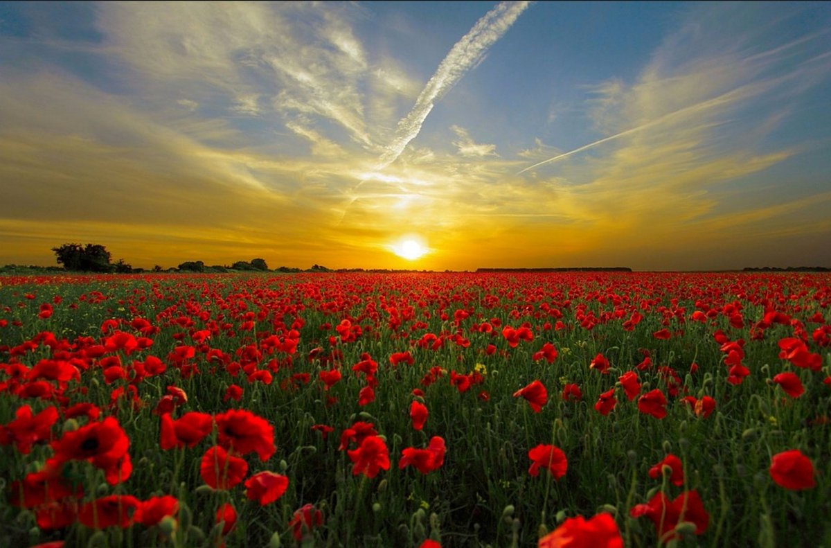 Sempre e per sempre...BUON 25 APRILE A TUTTI. ❤️
#25aprile 
#FestadellaLiberazione