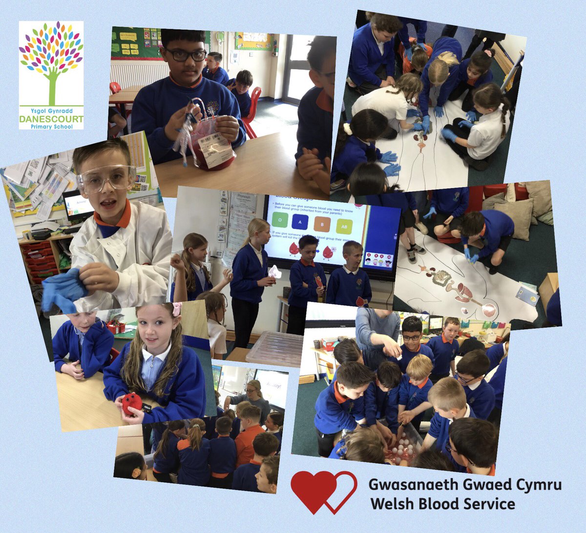 Diolch yn fawr! Hazel loved learning about blood and organs with Amy from #welshblood. We got to recreate some blood on a large scale, dress as scientists, and identify the location of our organs. #felindrenhs #ukneqas #healthyconfidentindividuals #scienceweek #year4