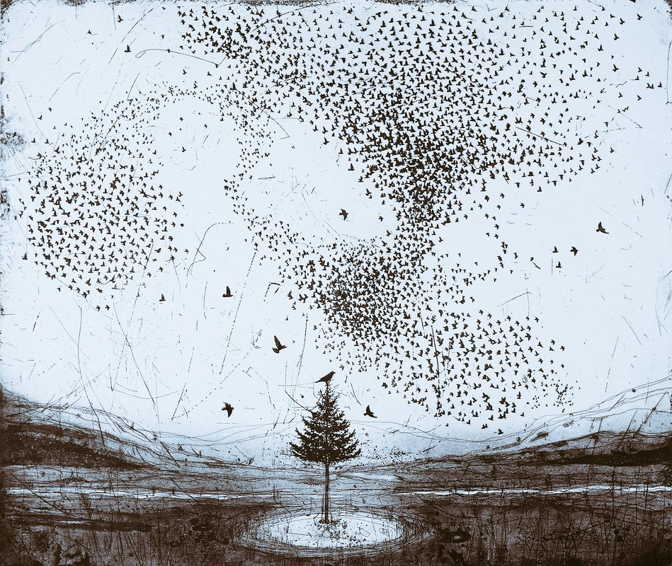 'The Murmuration tree' by contemporary artist and printmaker Fiona Watson, born in Newfoundland to a Scottish family #WomensArt