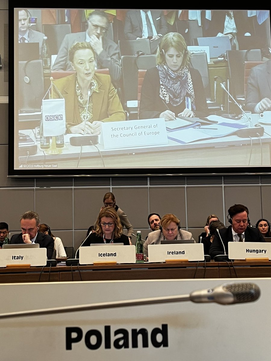 At today’s #OSCE council meeting we listened to SG @MarijaPBuric presenting @coe priorities. The better the challenge of ensuring #accountability for non-compliance with int’l commitments is met by both organisations, the stronger the community of democratic states will get.