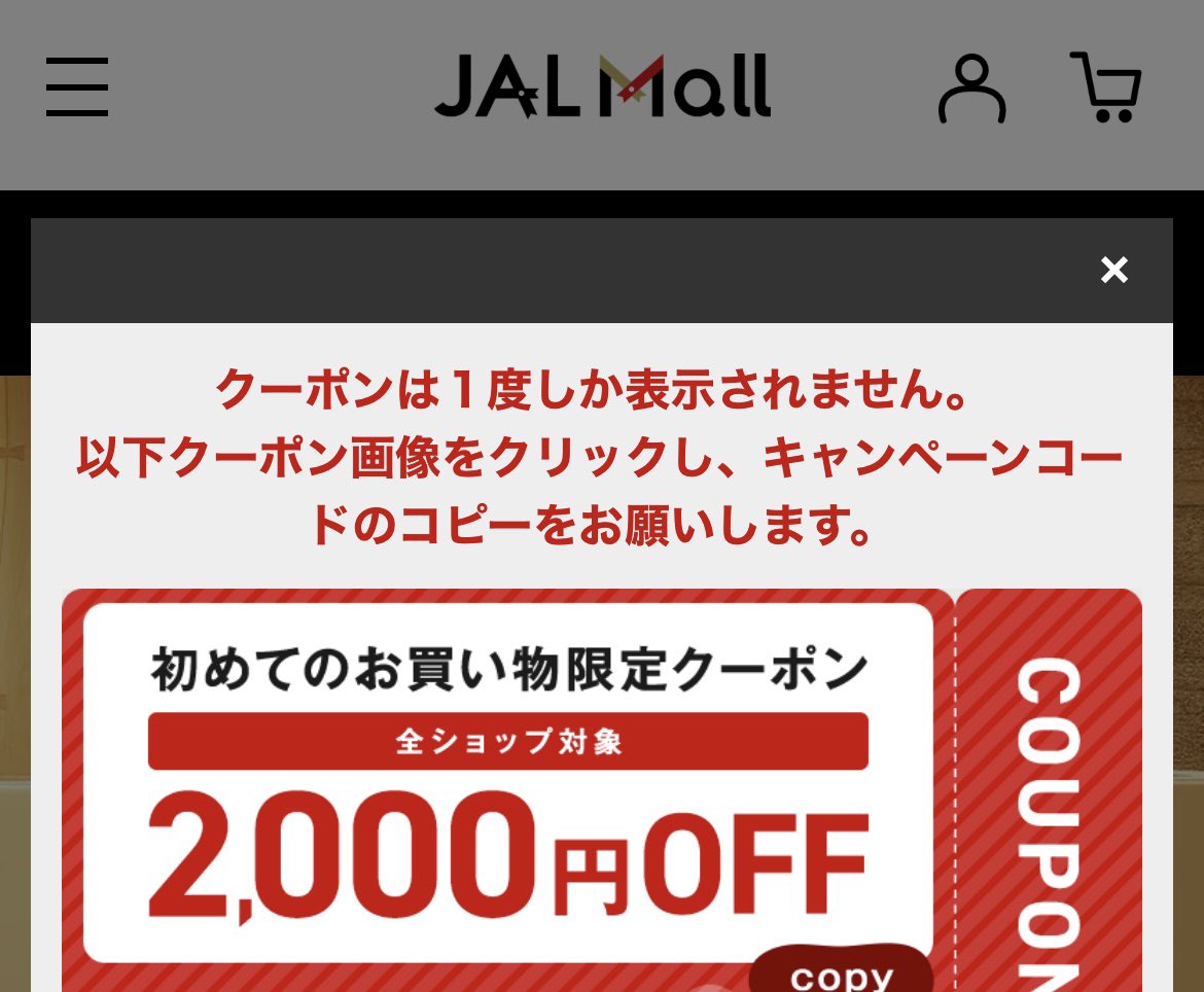 JALクーポン 2000円×12枚 計24000円分｜優待券/割引券 