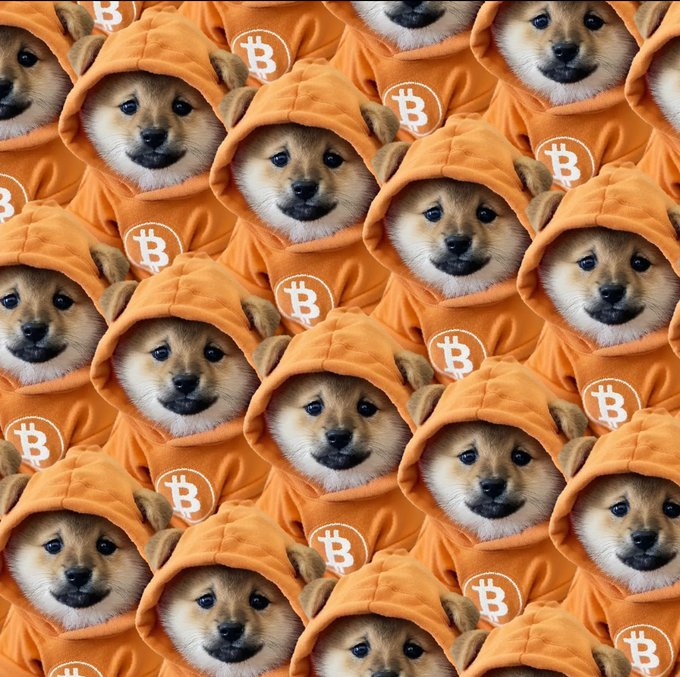 SamJarash's tweet photo. @binance $Dog is the onle way https://t.co/1ao494XI66