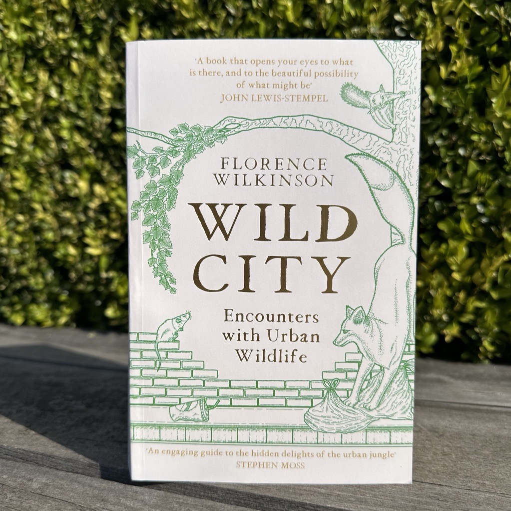 Happy paperback publication day to WILD CITY by @Flo_Wilk! #WildCity invites us to celebrate the natural world, while also offering a clear-eyed glimpse into the challenges faced by urban plants & animals as cities grow & sprawl 🍃 Out now in paperback: geni.us/WildCityPB