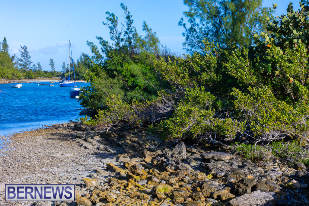 A peaceful setting in the west end #Bermuda #ForeverBermuda Bernews.com