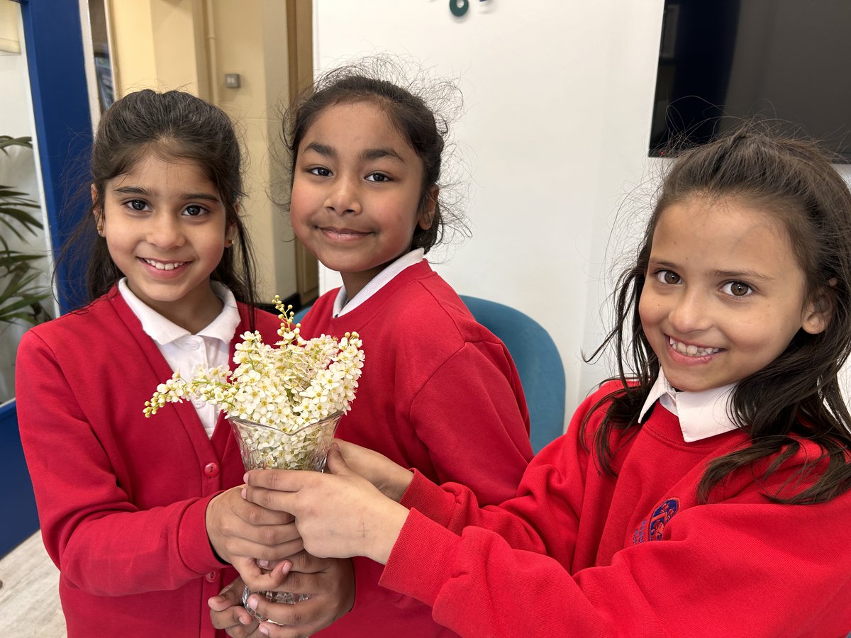 ✨Our lovely children from 3V brought in some flowers to cheer us up! 💐

#year3 #flowers #happiness #spreadthelove #spreadthejoy #gift #thoughtful #motivation #joy #success #MJS