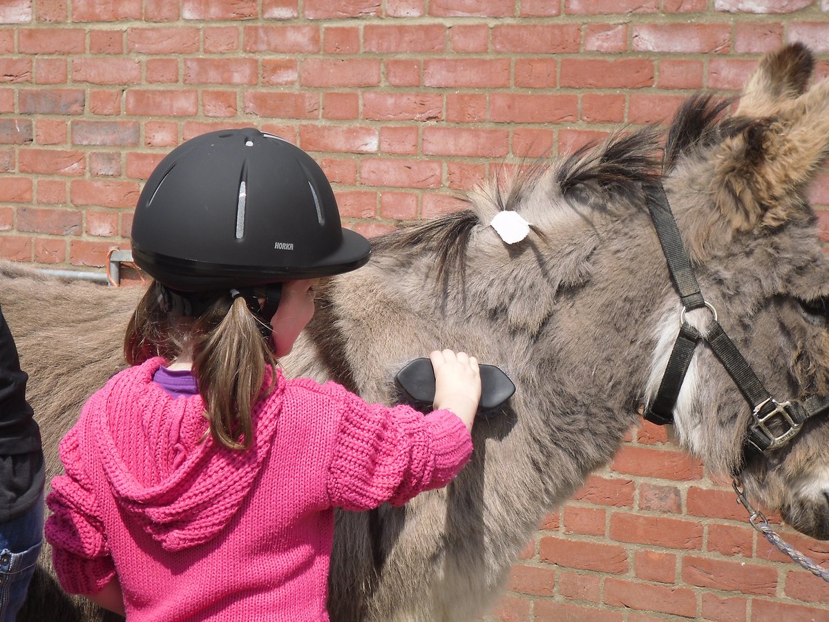 RedwingsHS tweet picture