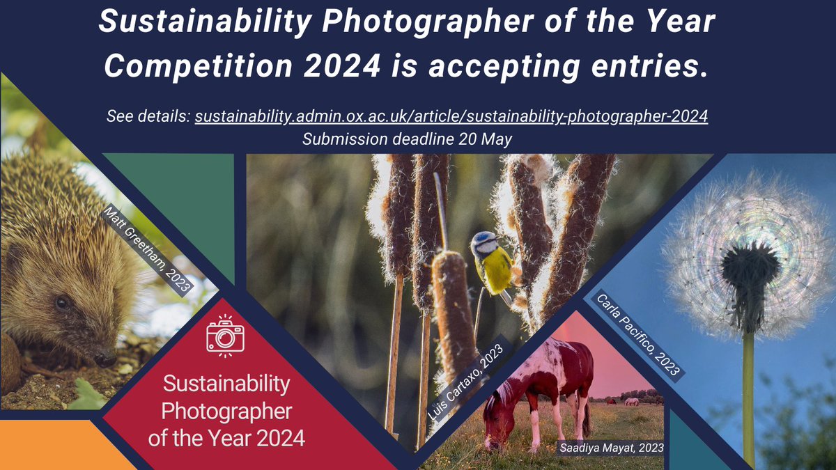 Are you a keen photographer? the @oxfordenvsust Sustainability Photographer of the Year Competition 2024 is accepting entries! So go out, take pictures and submit your best shots. Full details: sustainability.admin.ox.ac.uk/article/sustai… ➡️Submission deadline 20 May
