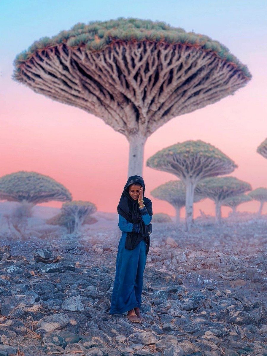 Stunning girl in Socotra, Yemen 🇾🇪