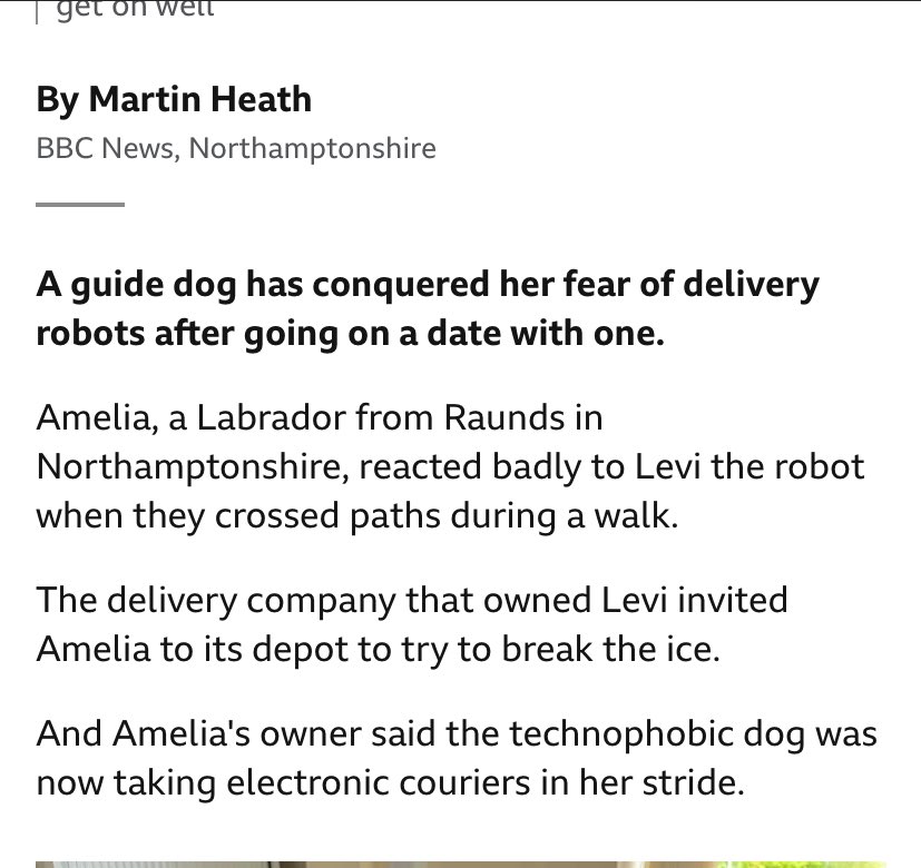 take a bow, Martin Heath, for one of the best stories of 2024 - ‘technophobic dog’ is just excellent