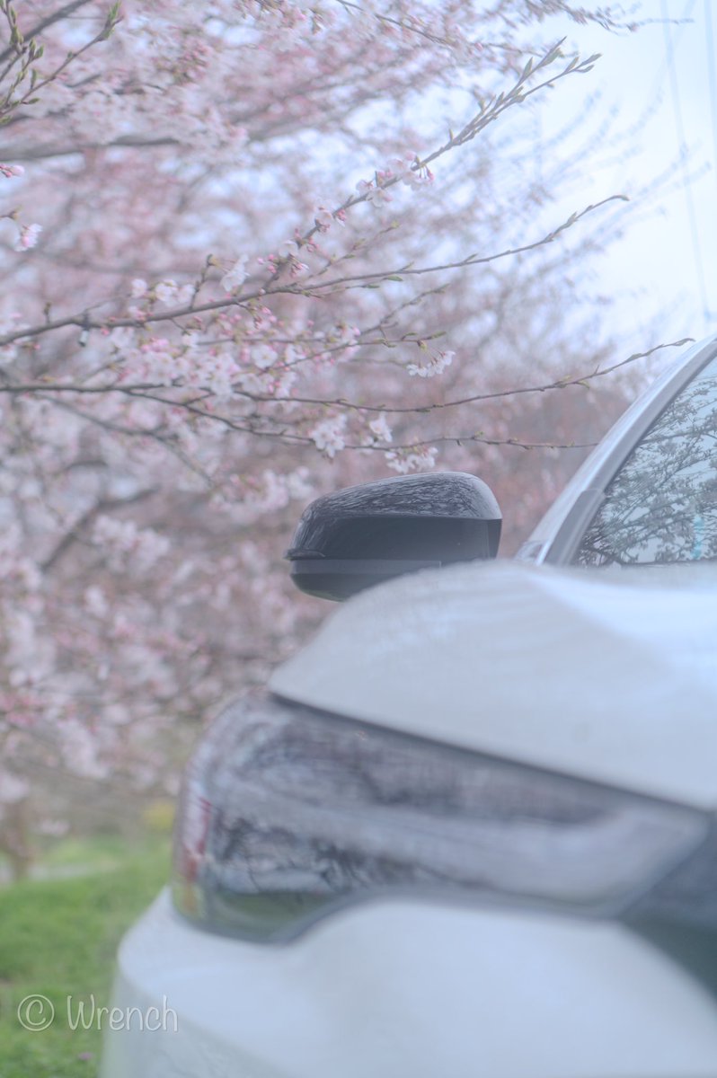 #関西カメラ部 #一眼レフ #カメラ 
#Nikon #D780 #キリトリセカイ 
#桜 #私とニコンで見た世界 #サクラ 
#写真好きな人と繋がりたい #桜 
#cherryblossom #sakura #菜の花 
#カローラクロス #カロクロ 
#suv #車 #愛車 #トヨタグラム 
#carphotography #toyotagram 
#リフレクション #ふんわり