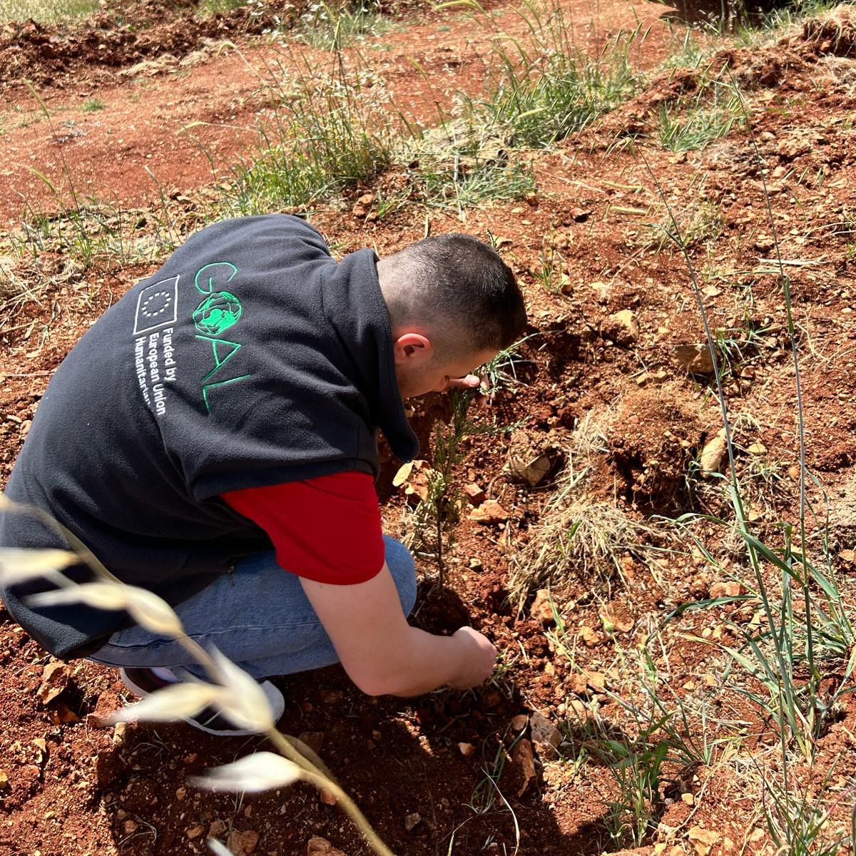 This week, GOAL Türkiye marked #EarthDay with a sapling planting ceremony in Hatay. With support from @eu_echo, GOAL is implementing protection interventions for nomadic agricultural communities whose livelihoods are jeopardised by climate change and environmental challenges.