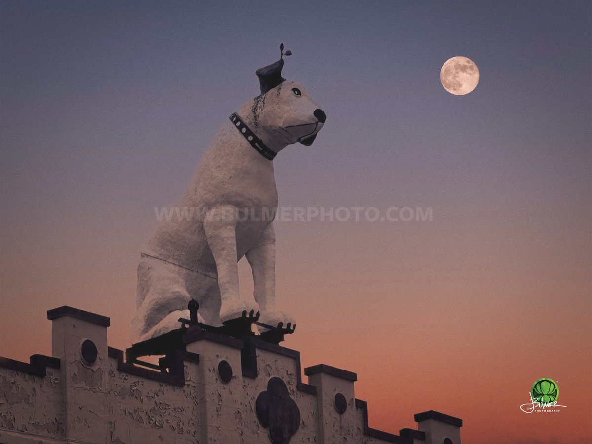 Nipper // #AlbanyNY 
The moonrise was amazing this morning.