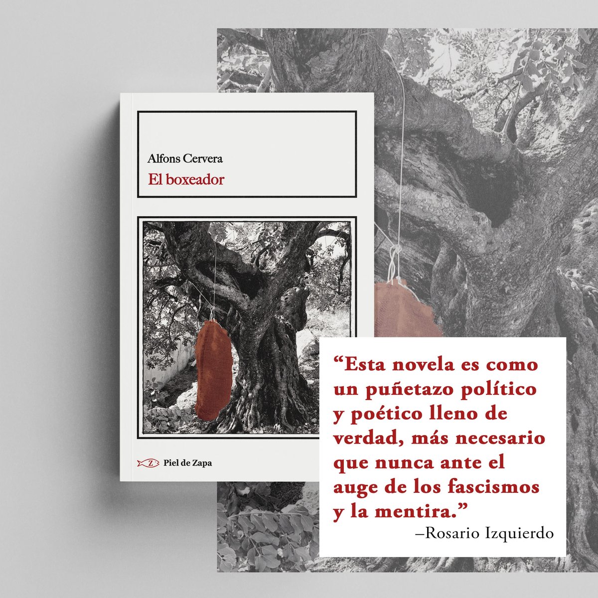 💫 ¡La autora Rosario Izquierdo ha recomendado #Elboxeador, de Alfons Cervera! 'Un puñetazo político y poético lleno de verdad'. –Rosario Izquierdo @charoizquier pieldezapa.com/catalogo/3738-…