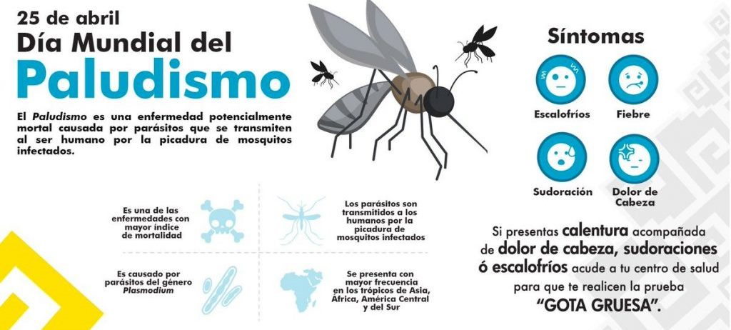 Todos los #25Abrl se celebra el #DíaMundialDelPaludismo proclamado por la @OMS con el objetivo de poner de relieve las consecuencias de la enfermedad y la necesidad de invertir continuamente en su prevención y control #paludismocero