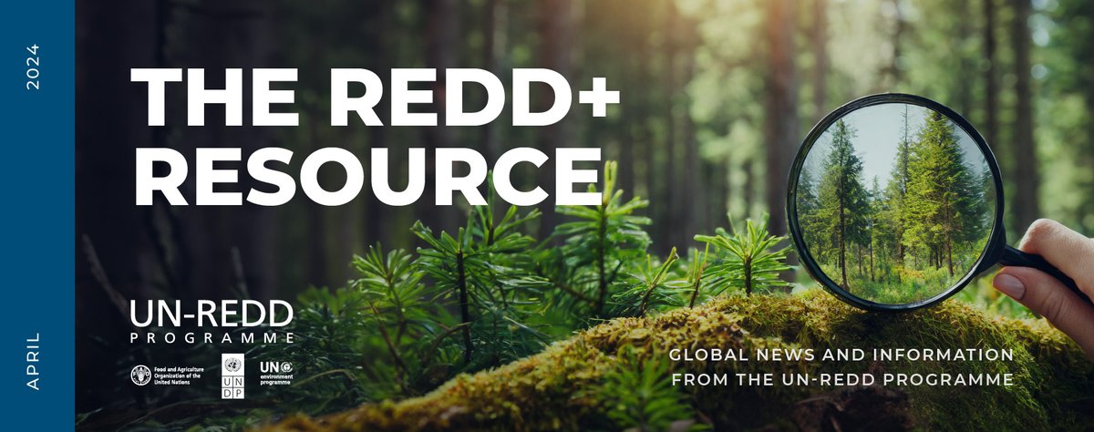 April REDD+ Resource is out! Our latest newsletter focuses on the financial innovations driving REDD+ implementation and sustainable forest management worldwide. Read more: myemail-api.constantcontact.com/Happy-Earth-We… #SaveForestsNow #EarthWeek