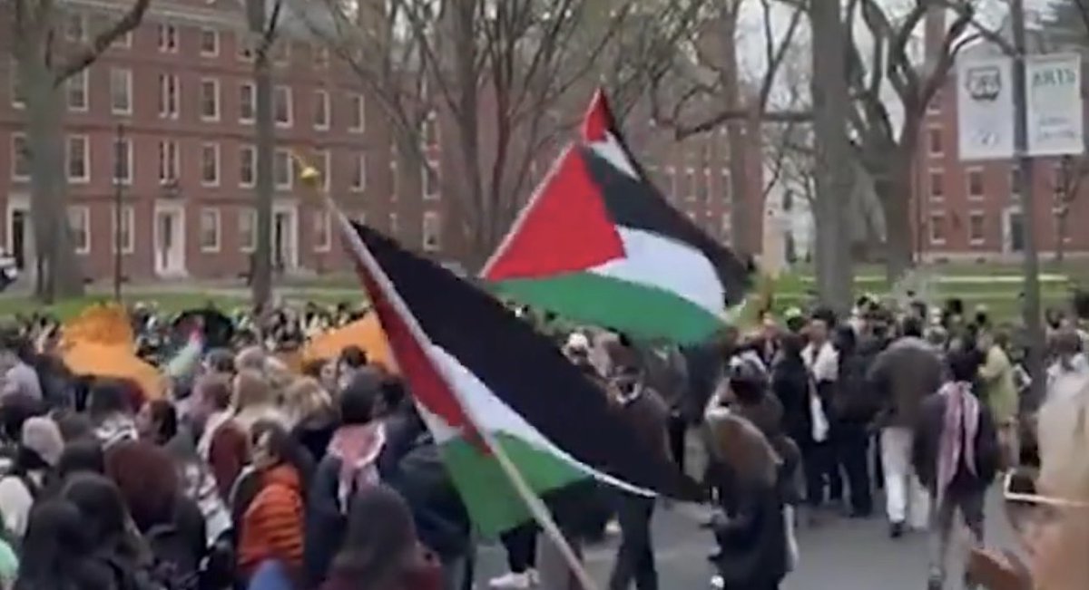 U.S. News released their antisemitic college rankings, and Columbia University was ranked #1. In response, Harvard University students decided to show they hate Jews even more, and made sure to set up their own camp, hoping to move up in the ranks.