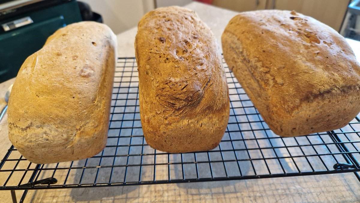 I've just baked a batch of seeded loaves 😊🍞🍞🍞 #breadmaking #bread #hospitality