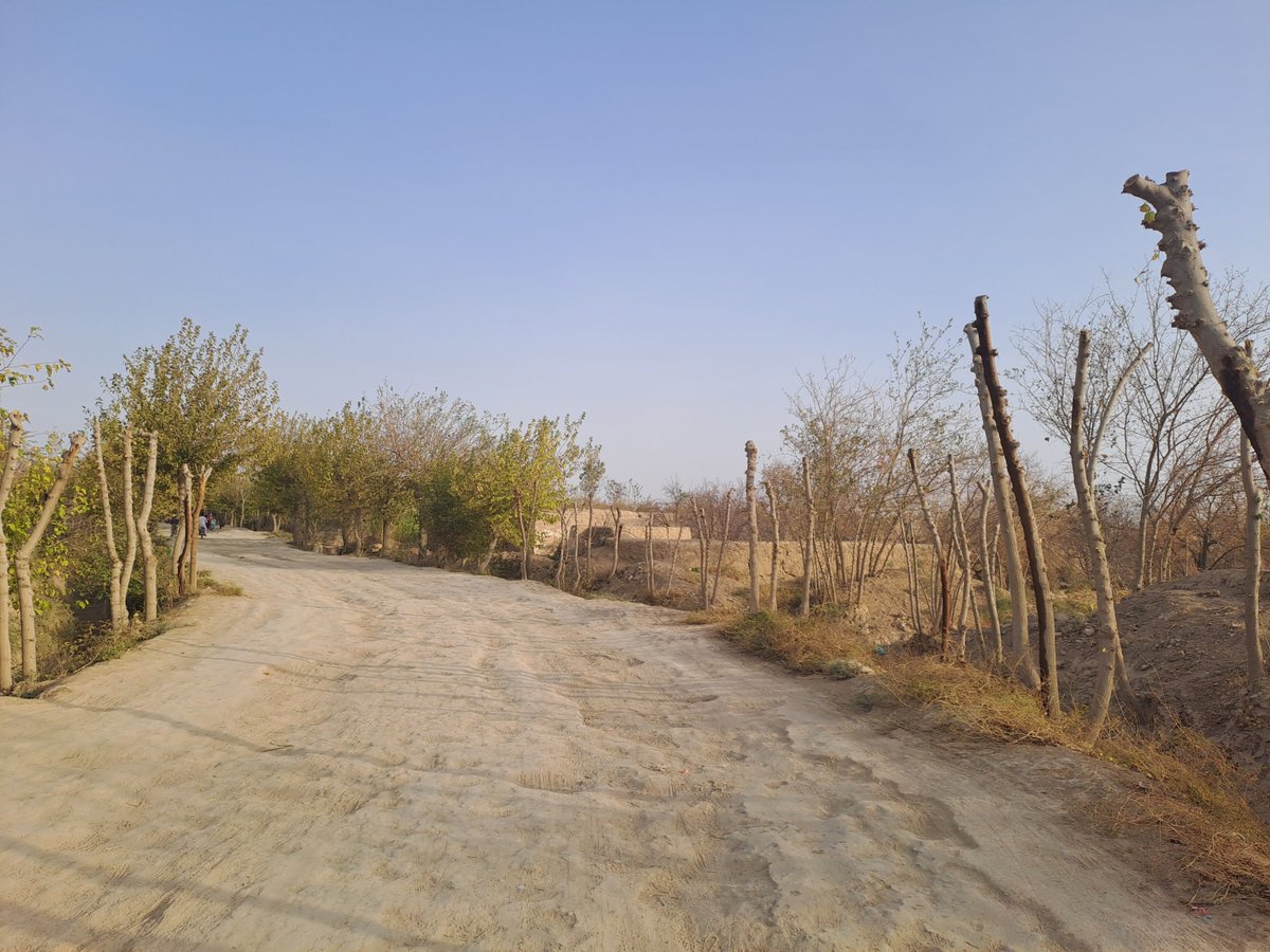 ILOAfghanistan's tweet photo. Road to Prosperity: The Jangal Ariq road rehabilitation, implemented by ILO and funded by STFA, created 280 immediate jobs, welcomed women and PwD into workforce, and better linked 36,000 people in 4 communities to essential services. #Jobs4Dignity #EIIP #DecentWork https://t.co/HhofGUOdIu