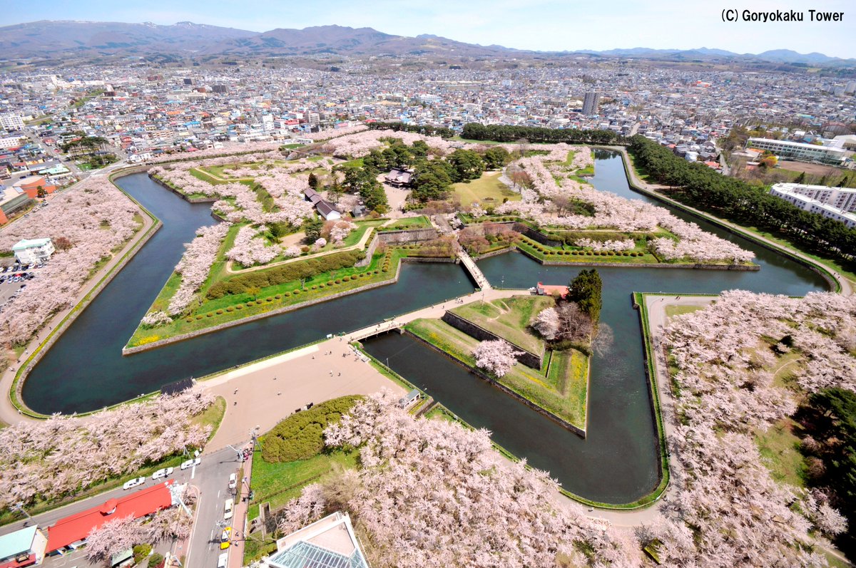 hirohako_1685's tweet photo. 🌸#ひろはこ 桜情報🌸

函館は桜のベストシーズン到来🌸
4/20～5/6は函館公園と五稜郭公園で花見電飾を実施中です！ 

https://t.co/GS3zsKaCuQ 

弘前は染井吉野の後に咲く弘前七桜の見頃が続々🌸
4/27～5/5は弘前七桜×#桜ミク シールを弘前公園で配布🎁詳細は特設ページへ！

#初音ミク #HatsuneMiku https://t.co/rDxDIrXhMH
