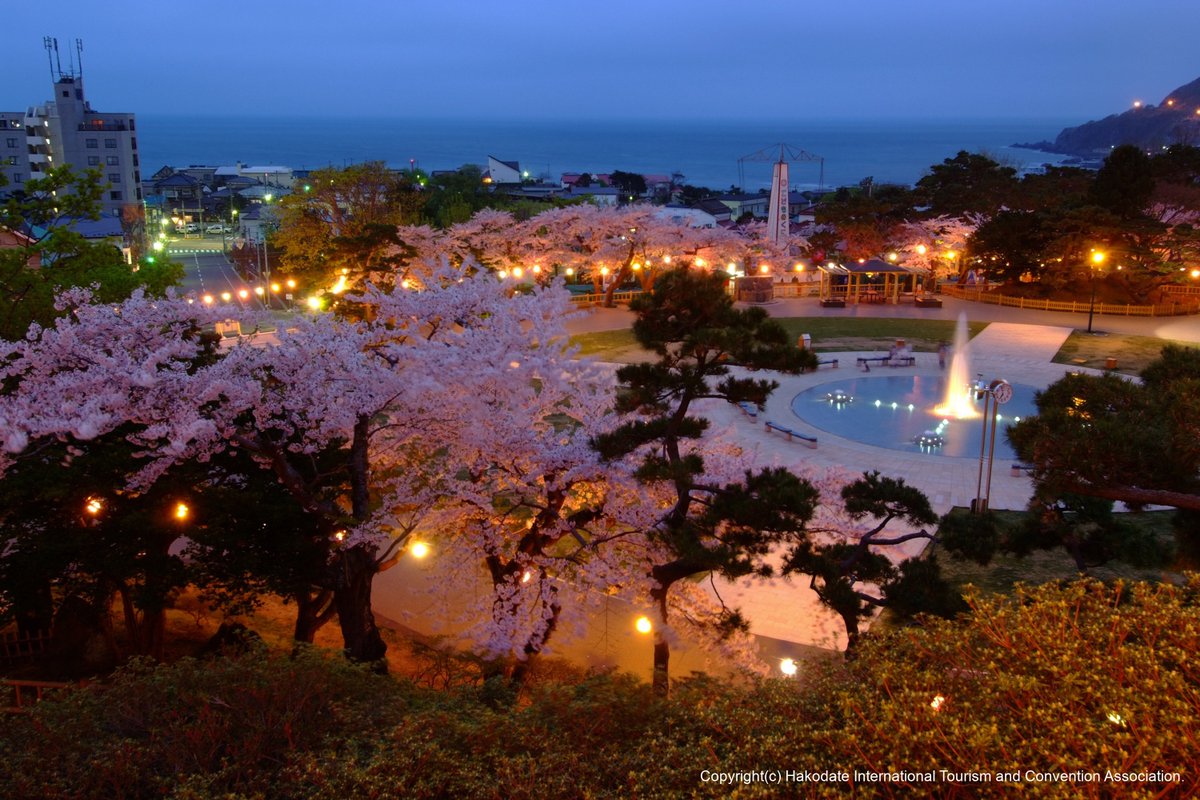 hirohako_1685's tweet photo. 🌸#ひろはこ 桜情報🌸

函館は桜のベストシーズン到来🌸
4/20～5/6は函館公園と五稜郭公園で花見電飾を実施中です！ 

https://t.co/GS3zsKaCuQ 

弘前は染井吉野の後に咲く弘前七桜の見頃が続々🌸
4/27～5/5は弘前七桜×#桜ミク シールを弘前公園で配布🎁詳細は特設ページへ！

#初音ミク #HatsuneMiku https://t.co/rDxDIrXhMH