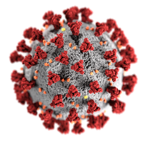 Good to see @medscape summarising recent paper in eclinicalMedicine looking at type 2 diabetes and #LongCovid using data from #GMCareRecord. Authors inc @DrAdrianHeald, @NawarBakerly & Dr Stuart Stewart from @NCAlliance_NHS medscape.co.uk/viewarticle/lo…