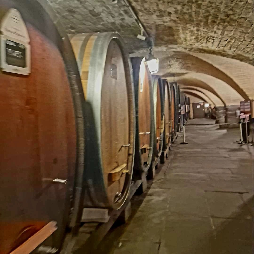 Visite aux ' Caves des hospices civils de Strasbourg '
Construites vers 1300 , elles abritent le plus vieux fûts du Monde qui contient encore un excellent vin datant de 1472 !
Il a été déguste 3 fois , dont la dernière en 1944 par le Général Leclerc 🙏