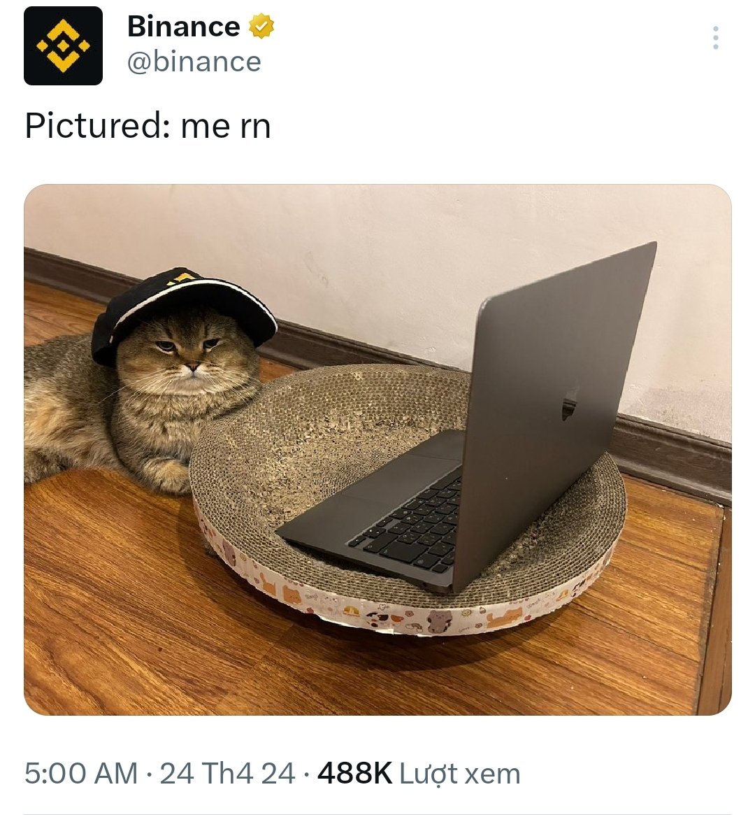 Inspired by Meme tokens always thrive on the community, we also want to build a project completely all for the community. Through promotional campaigns such as a MEME coin, along with the intrinsic value of Merdex, we believe that there will be a breakthrough development on this