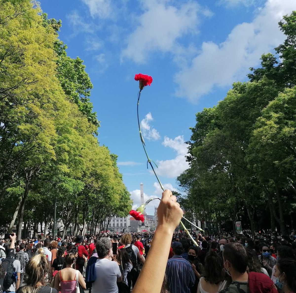 valtermarques's tweet photo. "O barco vai de saída
Adeus ó cais de alfama
Se agora vou de partida
Levo-te comigo ó cana verde"

#25deabrilsempre
#portugal
#liberdade
#fausto https://t.co/equrI1hR1F