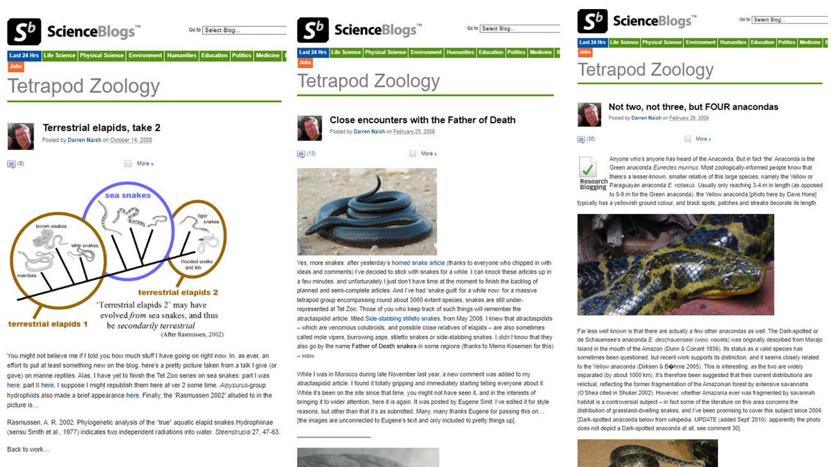 It's frustrating that the tons of material I published at ScienceBlogs and Scientific American is now only findable at wayback machine. None of us knew that blog-hosters would just lose interest and stop hosting our articles. Here's just some of my old stuff on #snakes.