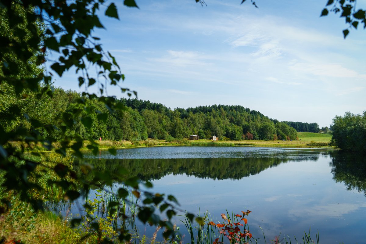 Deepen your understanding of teaching about nature and inspire a love for the outdoors in the children you work with If so, join us on Wed May 8th 2024 at 10:00 AM at the beautiful Crown Farm Quarry Nature Reserve. Book today: ow.ly/Mc4X50RnSVq