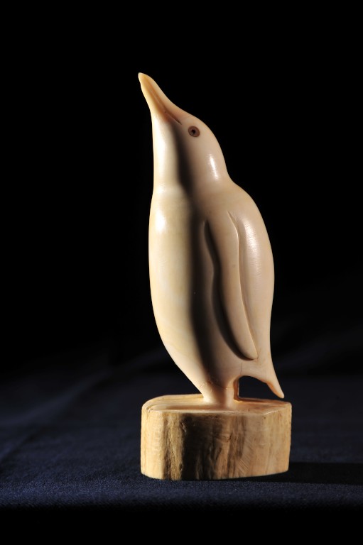 It's #WorldPenguinDay again, which means we need to drop everything and talk about the wee penguin that lives at Trinity House! Our penguin pal is a scrimshaw, carved from a whale's tooth by a local Leith sailor in 1938. We're wondering, what's their best side? Left or right?