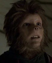 Ma tagliati sti capelli che mi sembri il bimbo scimmia di jumanji, scemo