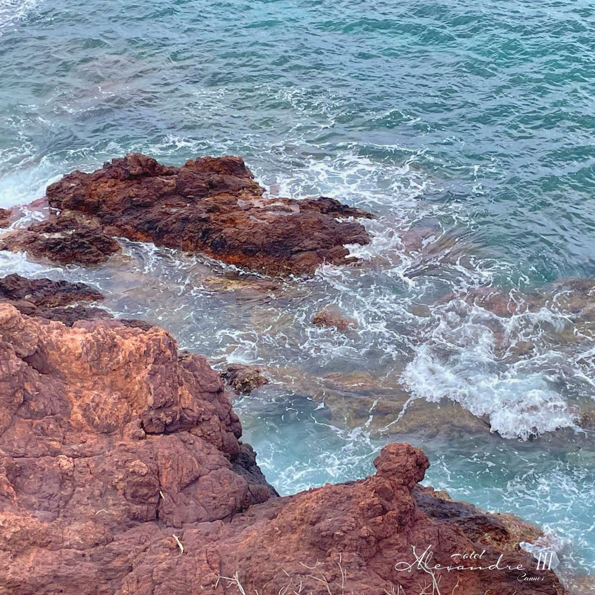 Safe. 

#safe #safelyhome #safeandsound #solidrock #allothergroundissinkingsand #cotedazurfrance #cannes #cannes2024 #cannesfilmfestival #cannessoleil #bienvenueacannes #festivaldecannes #yachtingfestivalcannes