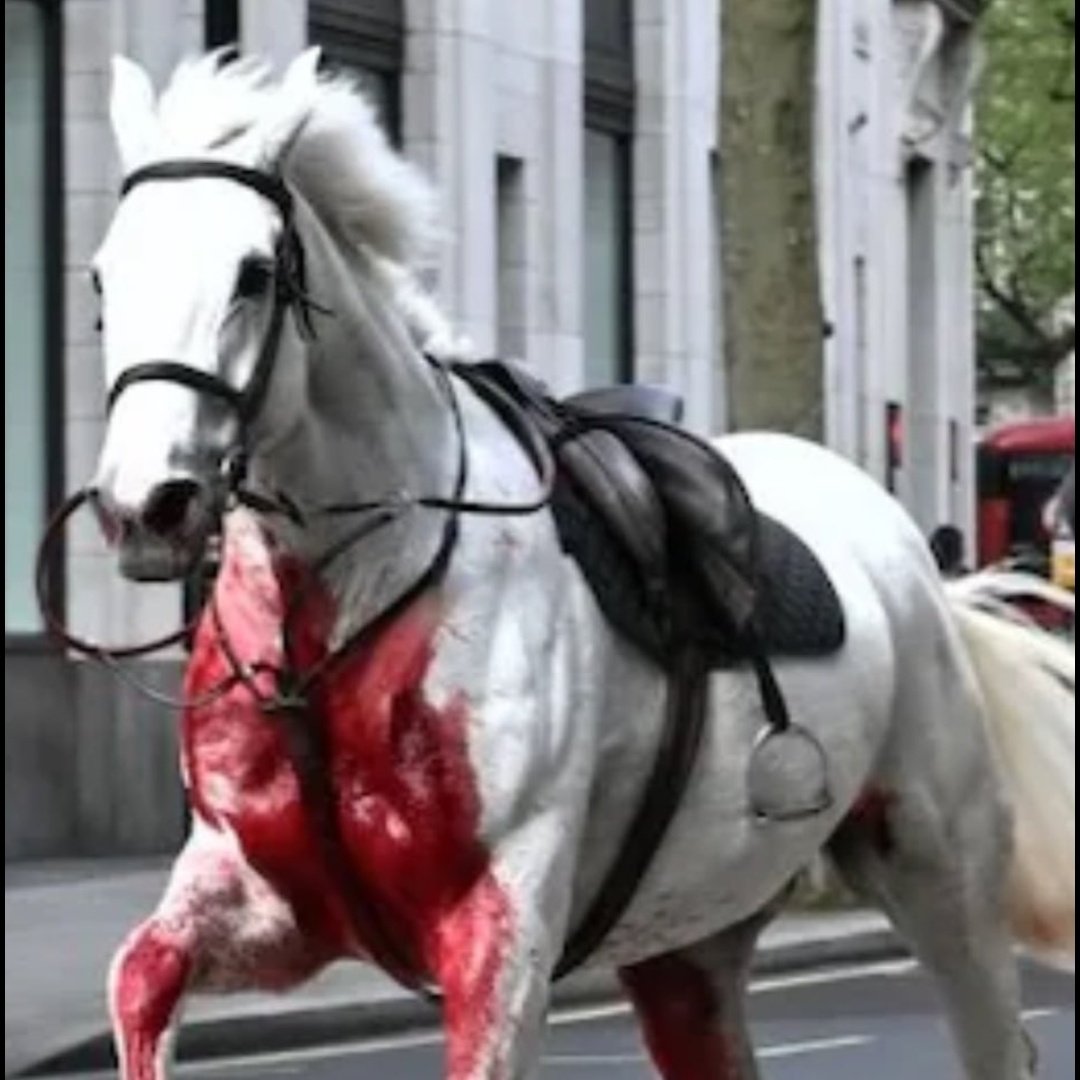 So apparently the 'bloodied horse' yesterday was named Vida, which supposedly represents 'life' or 'existence.' Make of that what you will. Definitely a bit of symbolism going on if you ask me...