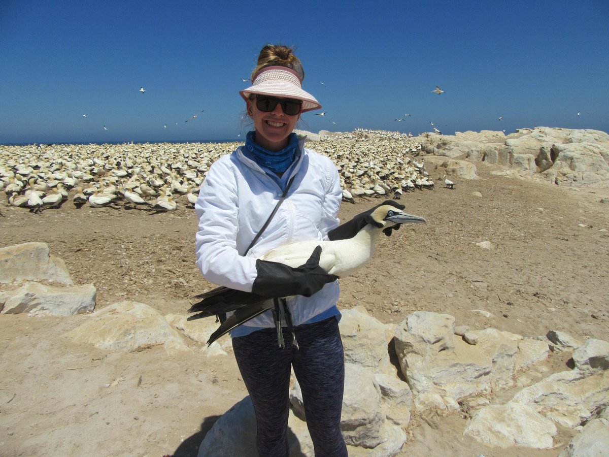 UNPACKING the Marine Science Symposium at #PlettOceanFestival 🐳🐬🐋 🌊 Day 2 Session 1 | Sat 22 June 🌊 LIVING ON A SEABIRD ISLAND 🌊 THE GROOT RIVER WATERBIRD ECOSYSTEM 🌊 A WALKABOUT WITH THE KNYSNA OYSTERCATCHER bit.ly/PlettOceanFest #plett #birdlife #discoverctwc