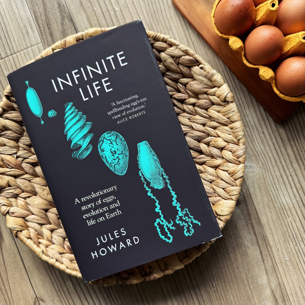 Here are just a few of the *egg-cellent* endorsements for #InfiniteLife so far! ‘Jules Howard’s egg’s-eye view of evolution is dripping with fascinating insights’ Alice Roberts ‘This is as fun and engaging as science writing gets’ Steve Brusatte ‘A joy to read’ Helen Scales