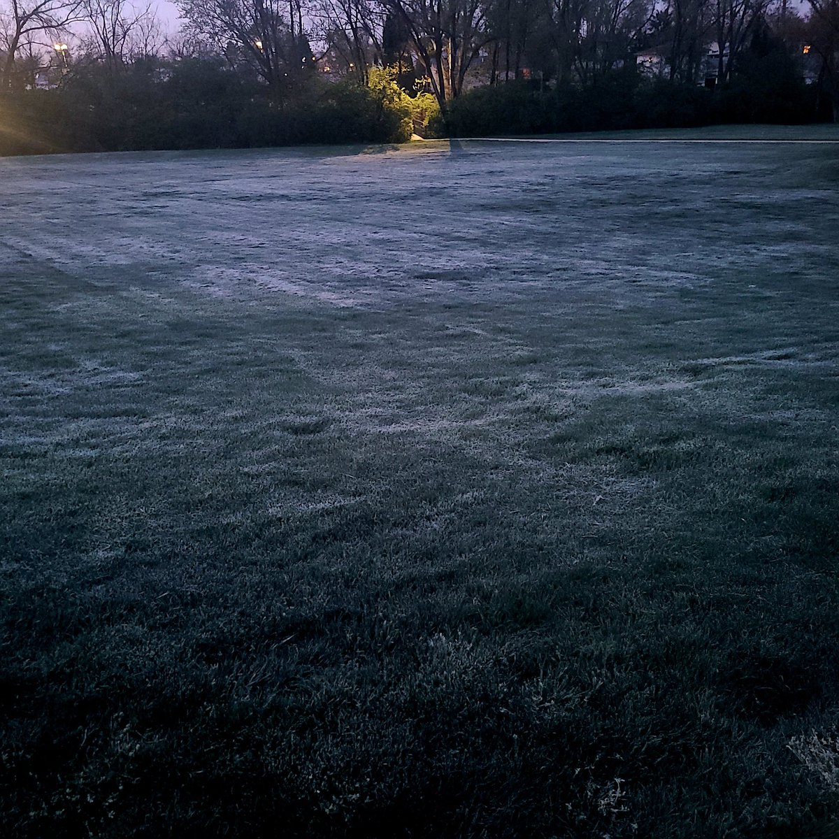 Just a little #Frosty 32F #MorningWalk #Dawn #Sunrise #BestTimeOfDay #WonderingWhileWalking #Photography #TakeAnotherShot #DontLoseFocus #DoItForYou #GetAfterIt #PhotoChallenge2024