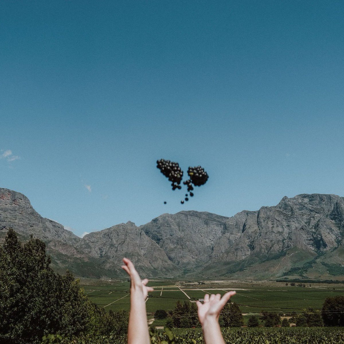 Breedekloof Makers tweet media