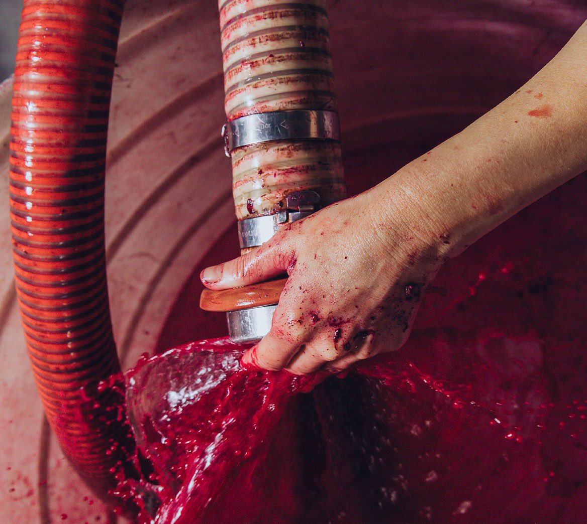 Breedekloof Makers tweet media