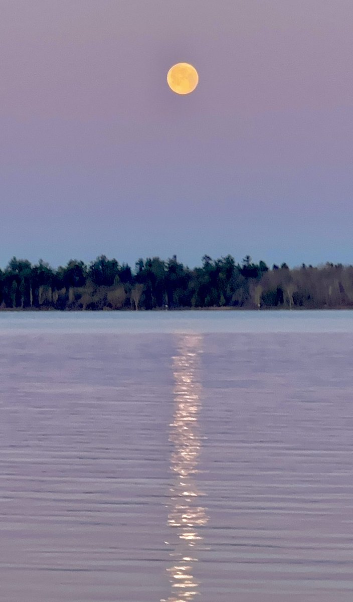 Beautiful pastel « moonset » this morning. Bon jeudi Gang. 

#moon #ottawa #lune #ottawa #gatineau #ShareYourWeather #StormHour #MyOttawa