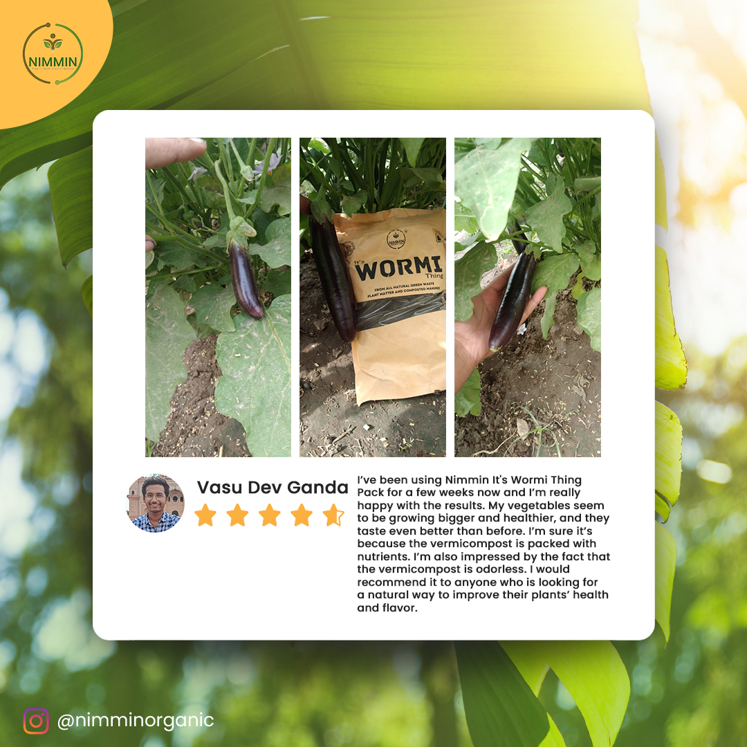 Vasu Dev Ganda is a big fan of Nimmin Vermicompost, an organic fertilizer made from earthworms.
.
.
.
#organicgardening #vermicompost #gardeningtips #gardeninglife #sustainablegardening #nimminorganic #testimonial #itswormithing