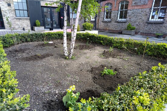 .@pocketforests finished their planting season by adding native #shrubs and groundcover plants to the existing planters around The Digital Hub campus. They are also busy planning for their Pocket Forests Garden at the Bloom gardening festival in June. pocketforests.ie