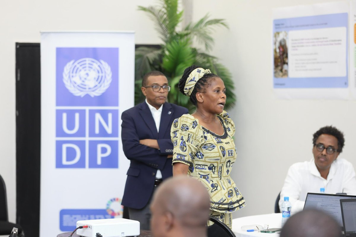 In response to the ever increasing complex nature of development problems, UNDP and partners, including Government, CSO, Research Organisations and NGOs, are embracing a Portfolio Approach focused on Green Transition in Zambia.